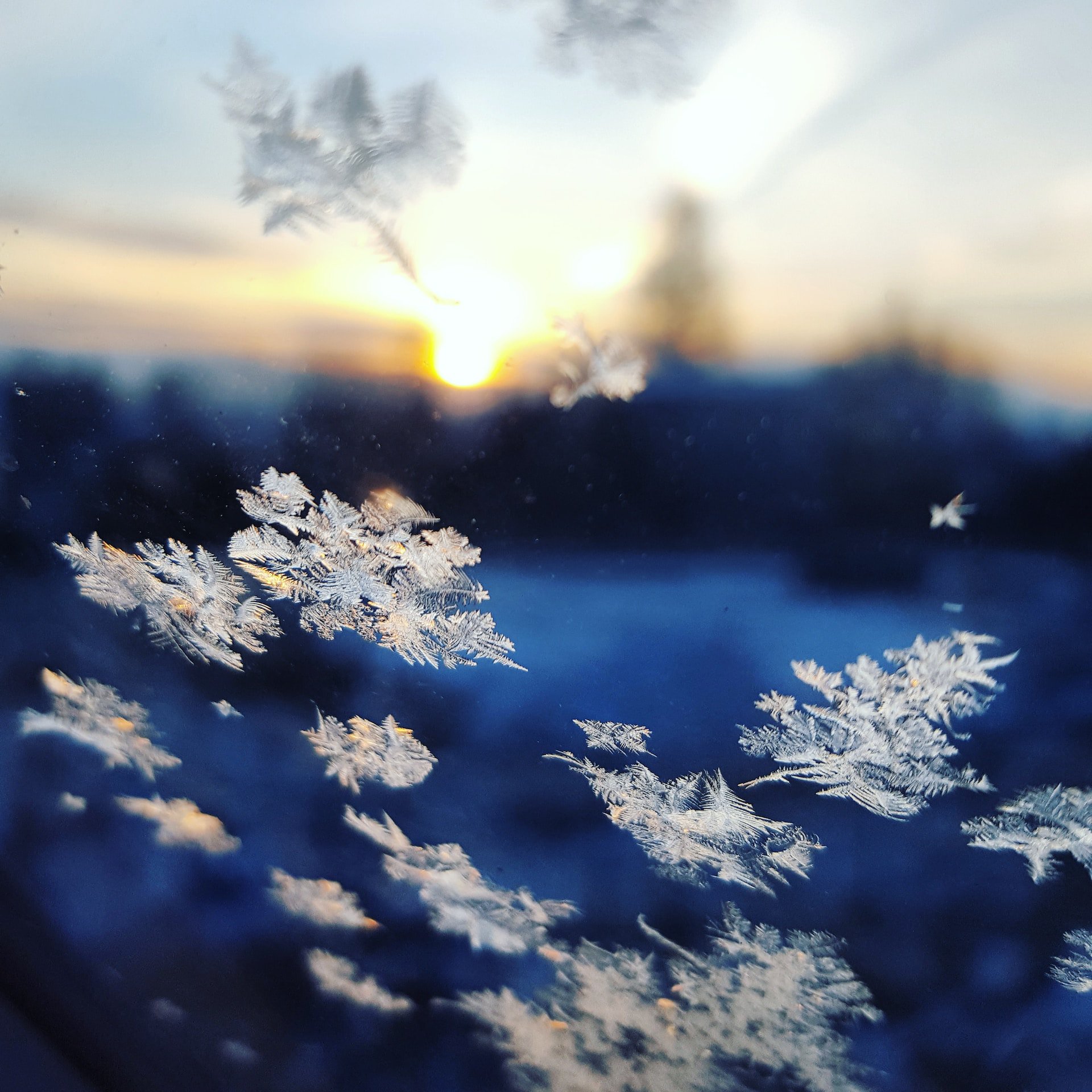 Photo of snowflakes
